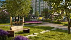 Превью изображения